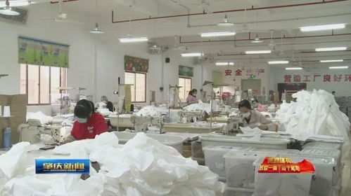 肇慶加快推進‘五位一體’總體布局，助力企業(yè)有效復工復產