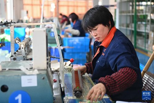 浙江嵊州 以專業咨詢服務為引擎，高質量推進工業經濟發展