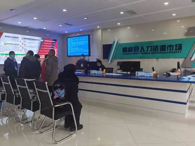 桐梓縣 以專業咨詢服務為引擎，筑牢“穩就業”“保就業”基石，驅動經濟社會高質量發展