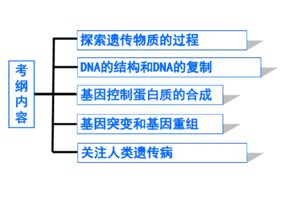 蘇教版高中生物必修二第四章第1節(jié)探索遺傳物質(zhì)的過程