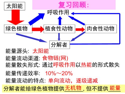 生態系統的物質循環 合成技術研發的視角