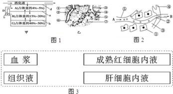 孟德爾遺傳規律為何不適用于細菌等單細胞生物？